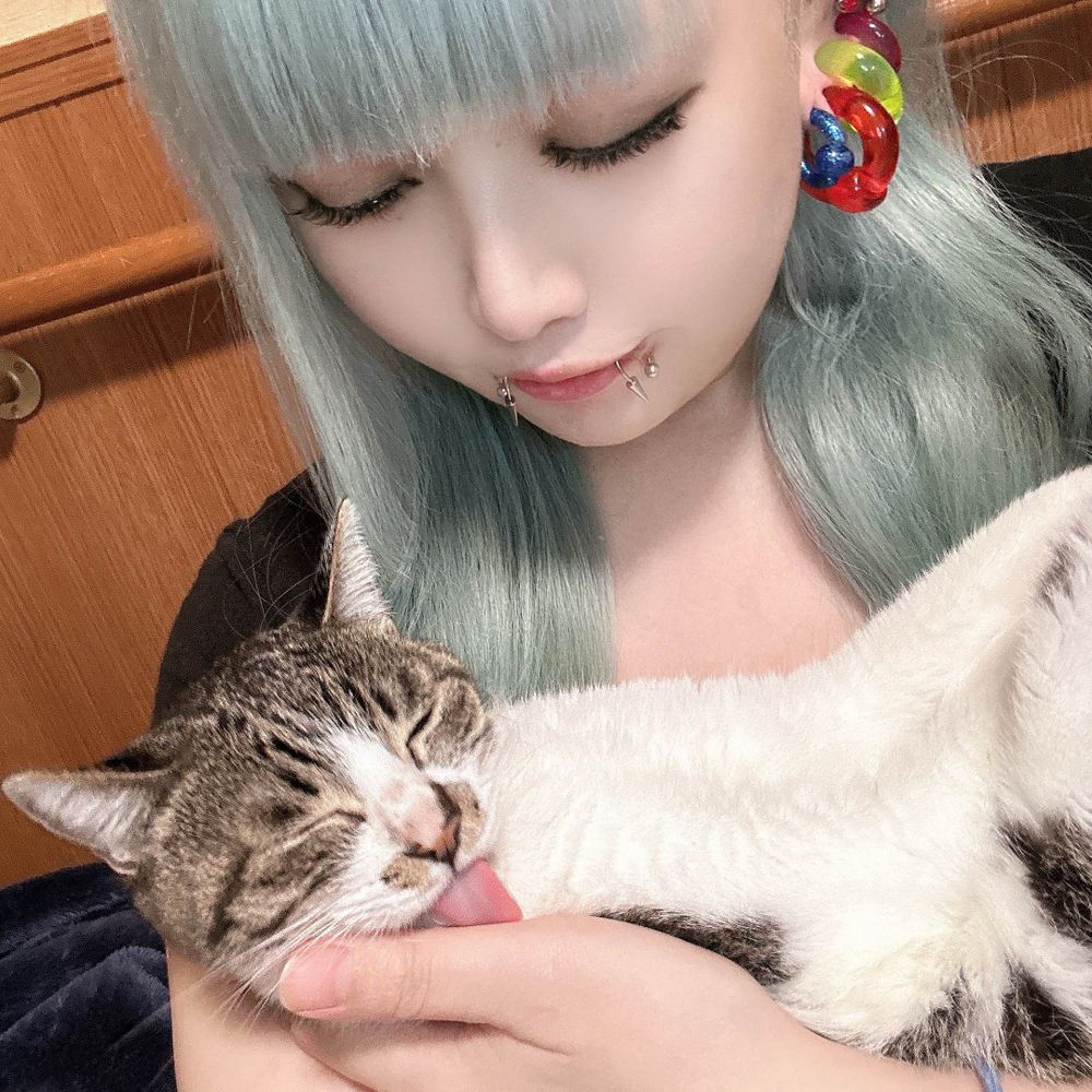 ぬこびっち