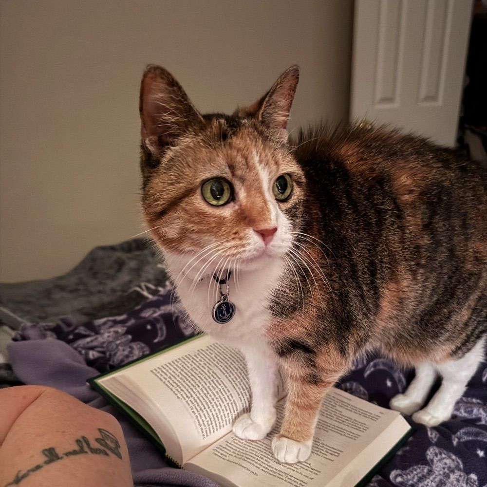 Artemis