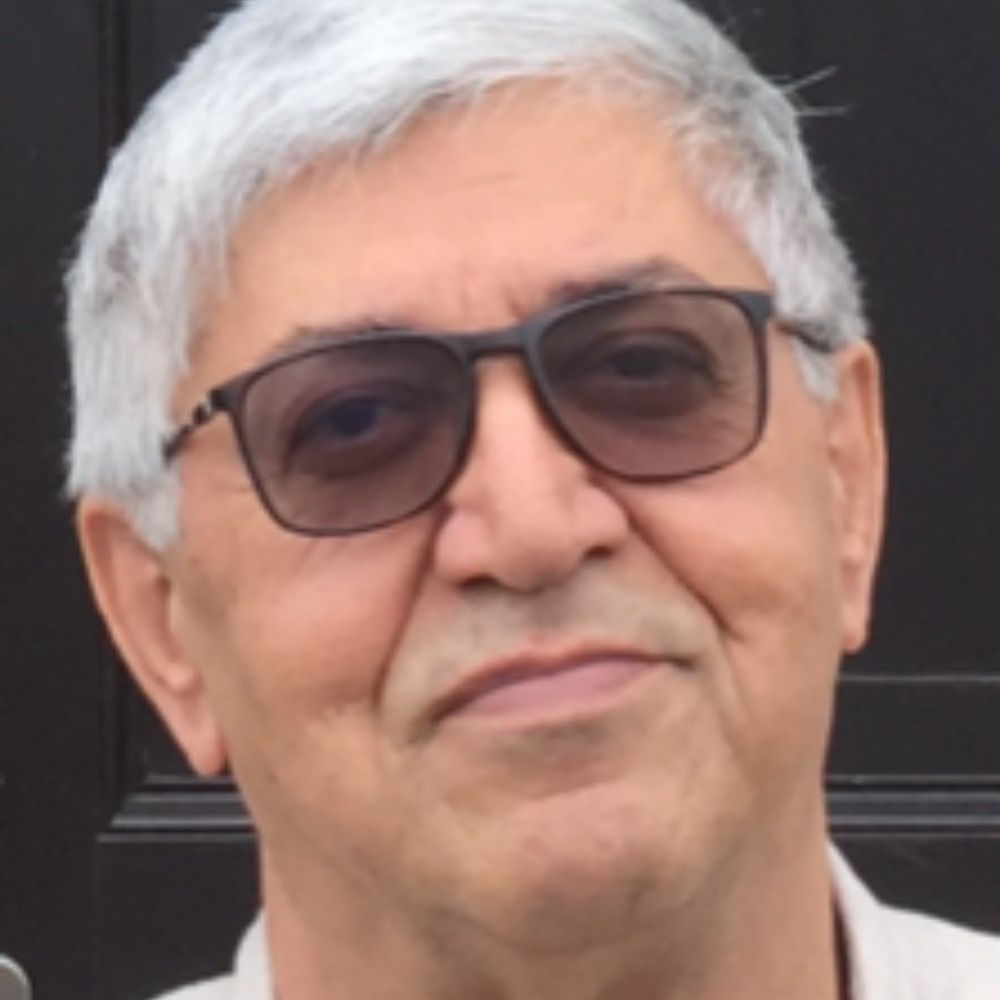Behrouz Turani