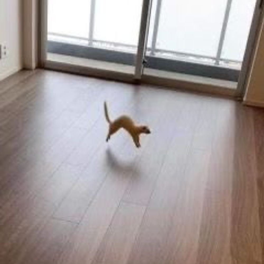 hey