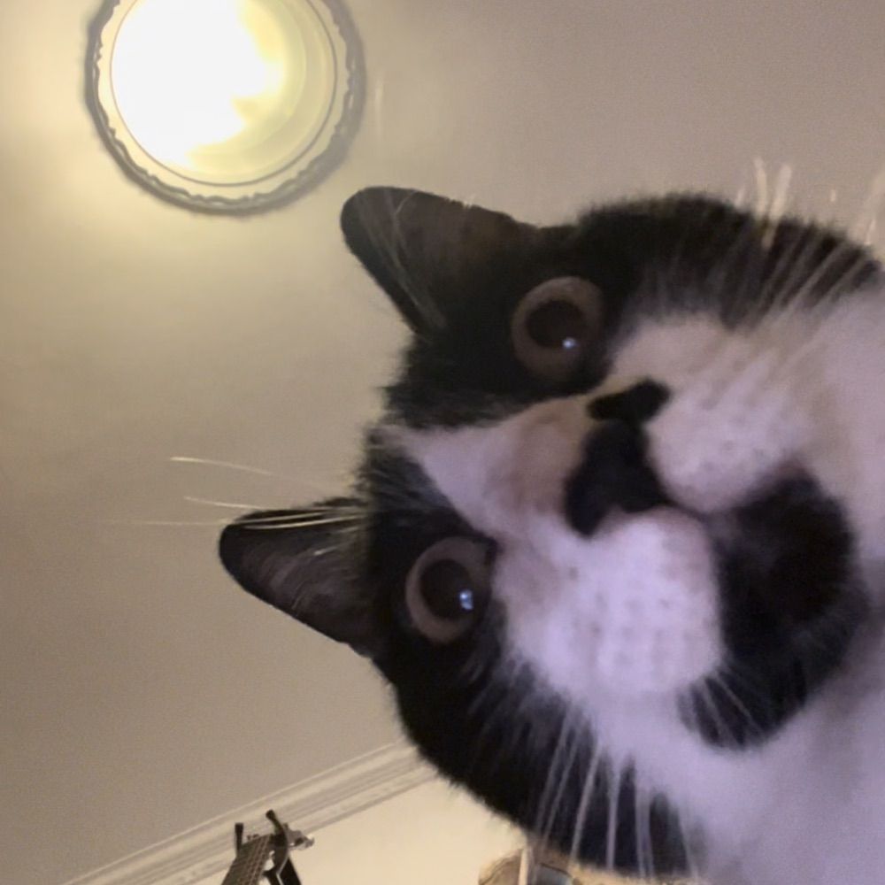 luma