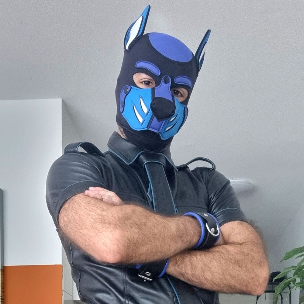Pup Salvo