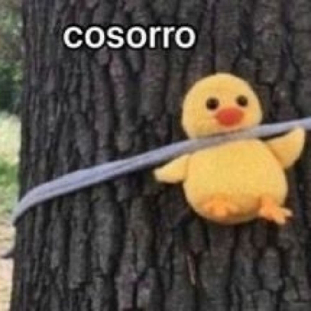 Compartilhando coisas nada saudáveis 
