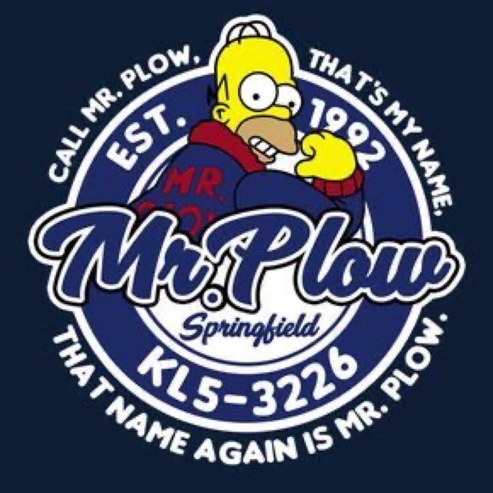 Mr HOMER PLOW