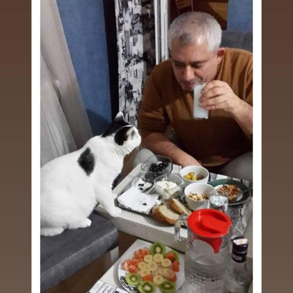 Ercan