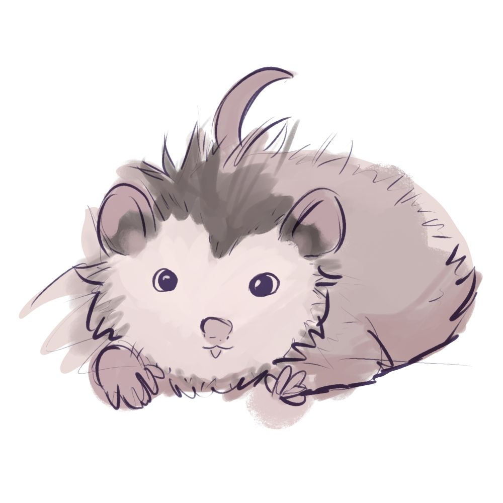 TummyTempter 🧅🦷 | Space Opossum VTuber