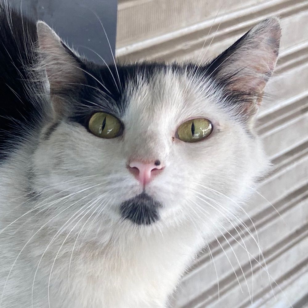 beabearr.bsky.social