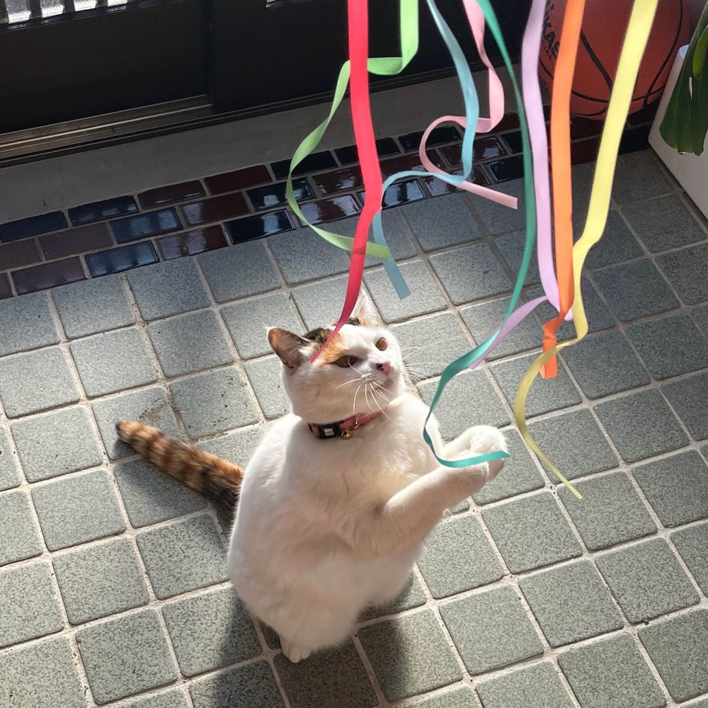 こち