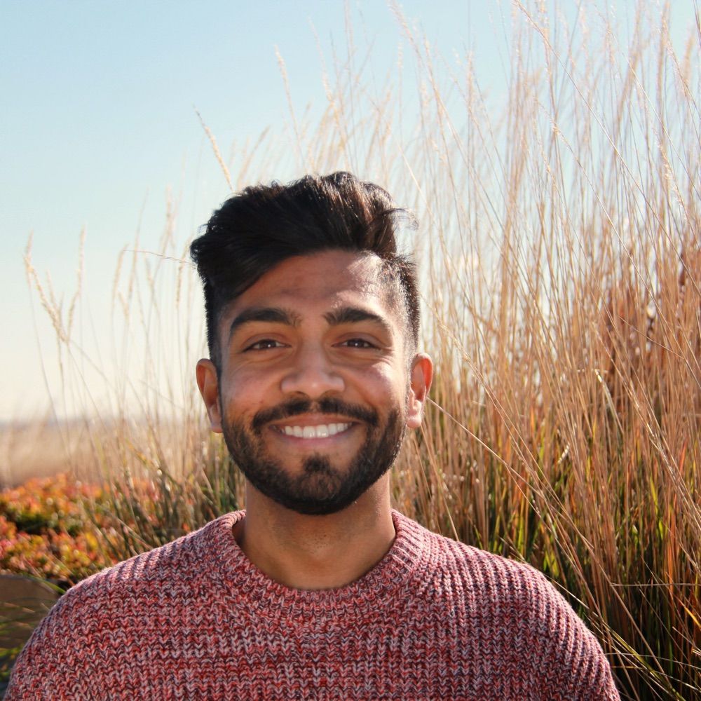 Anirudh Srirangam