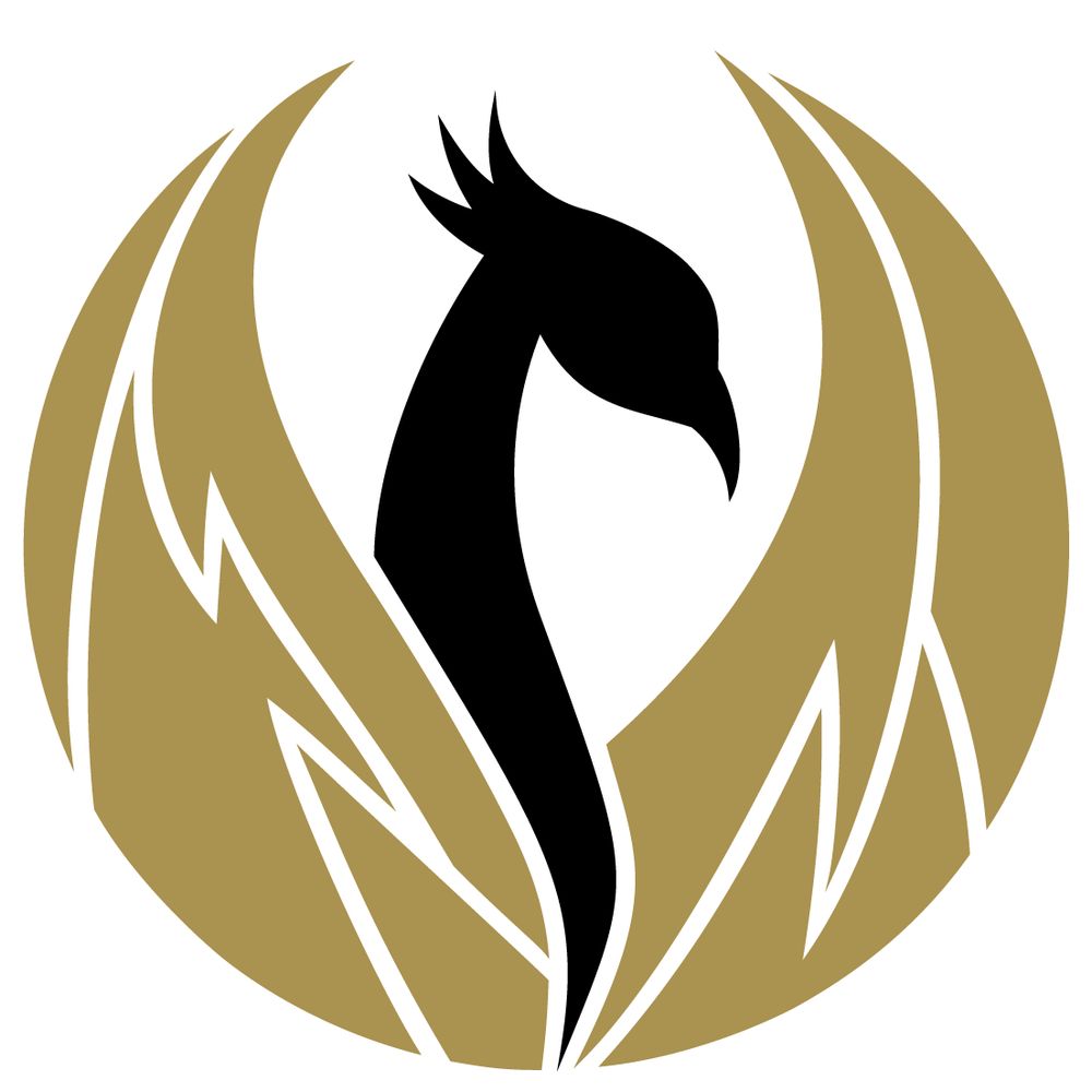 Second Time Alive E-Sport