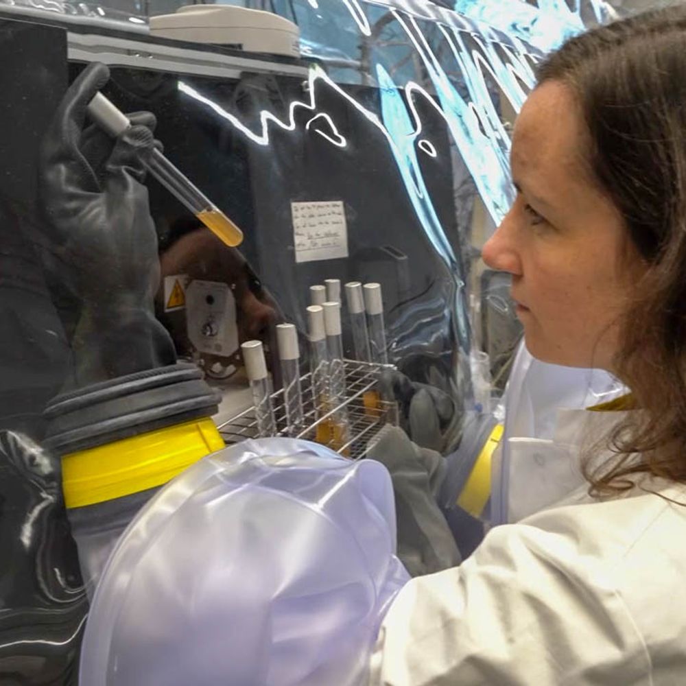 Lisa Maier Lab | Tübingen