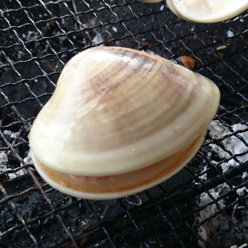 みつこ
