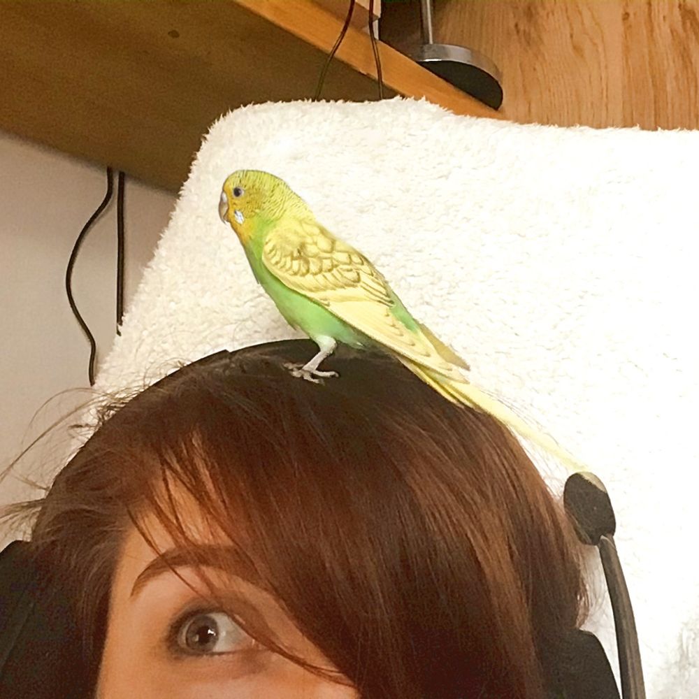 SpookyBirdNerd