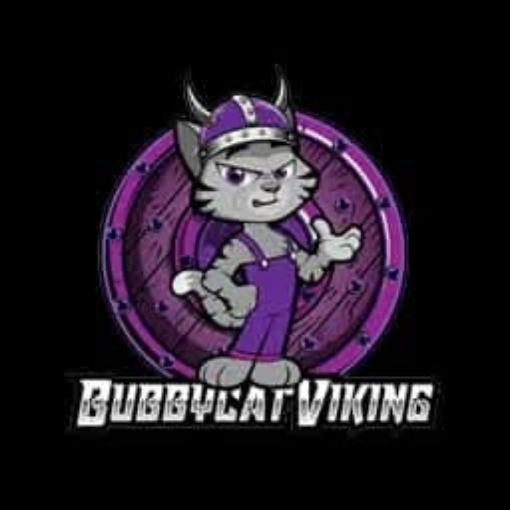 BubbycatViking