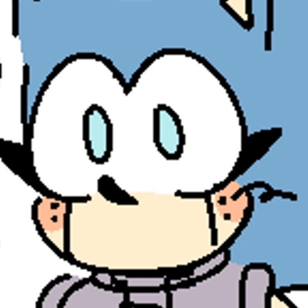 VIRTUAL HEDGEHOG.