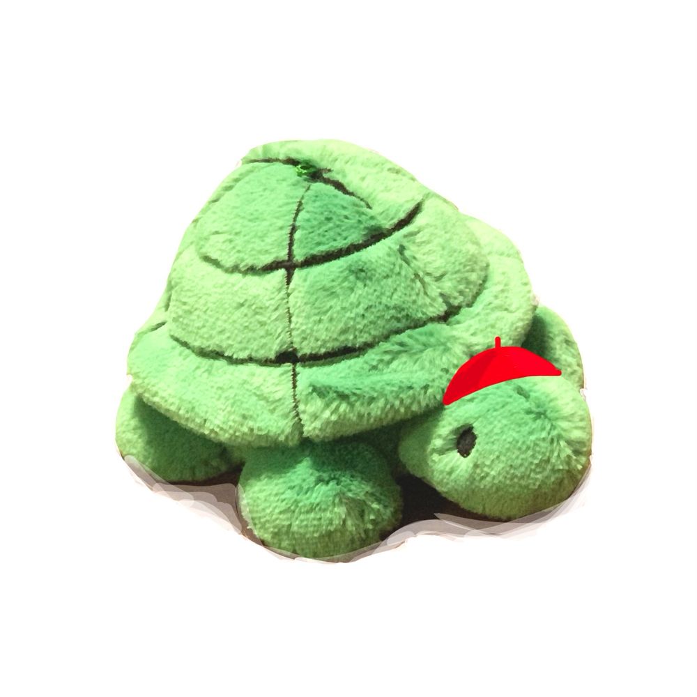 しど🐢