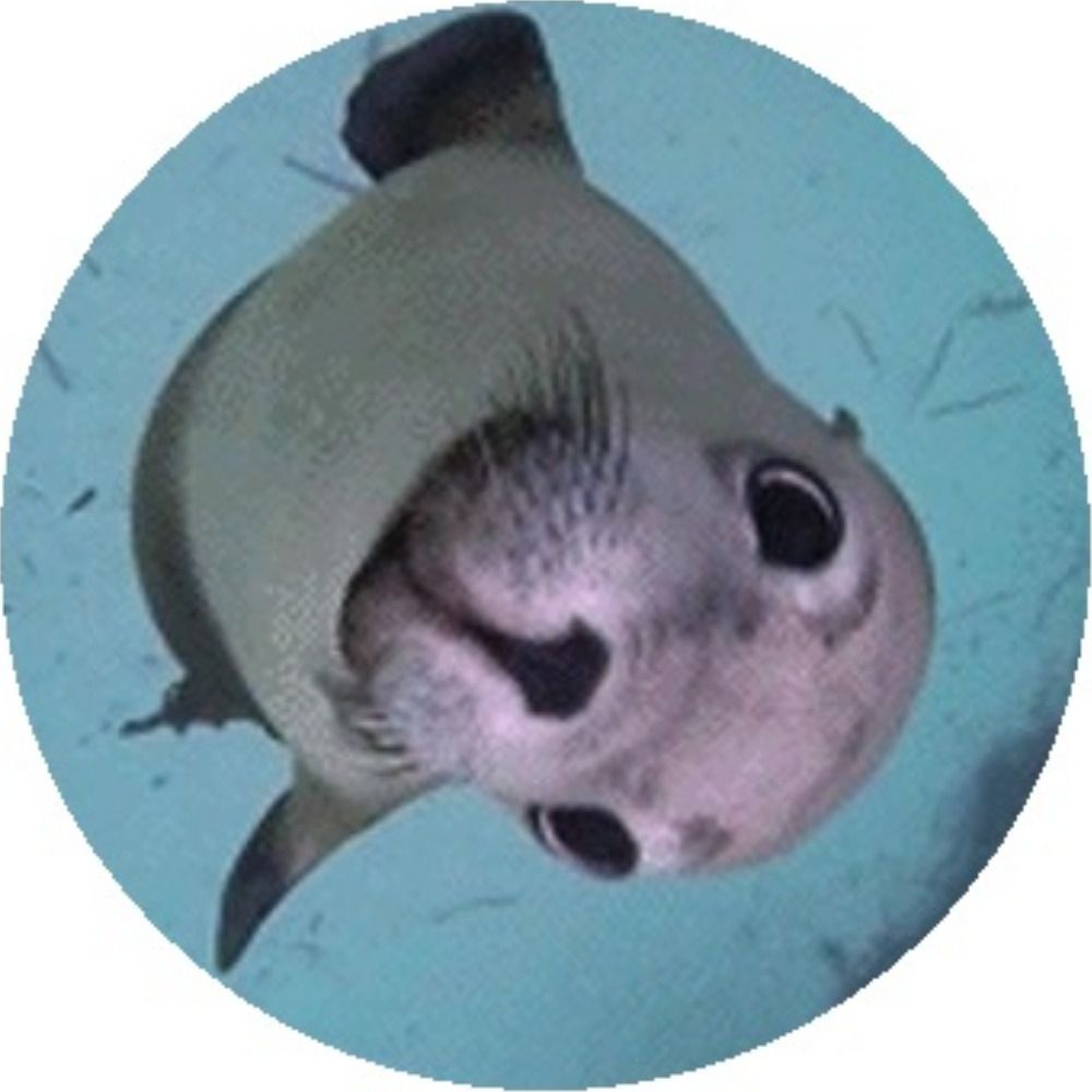 parking_seal's avatar