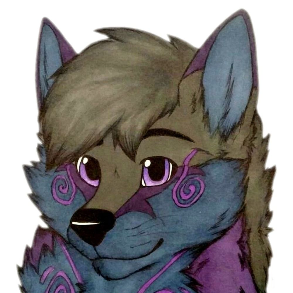 Andrew The Fox