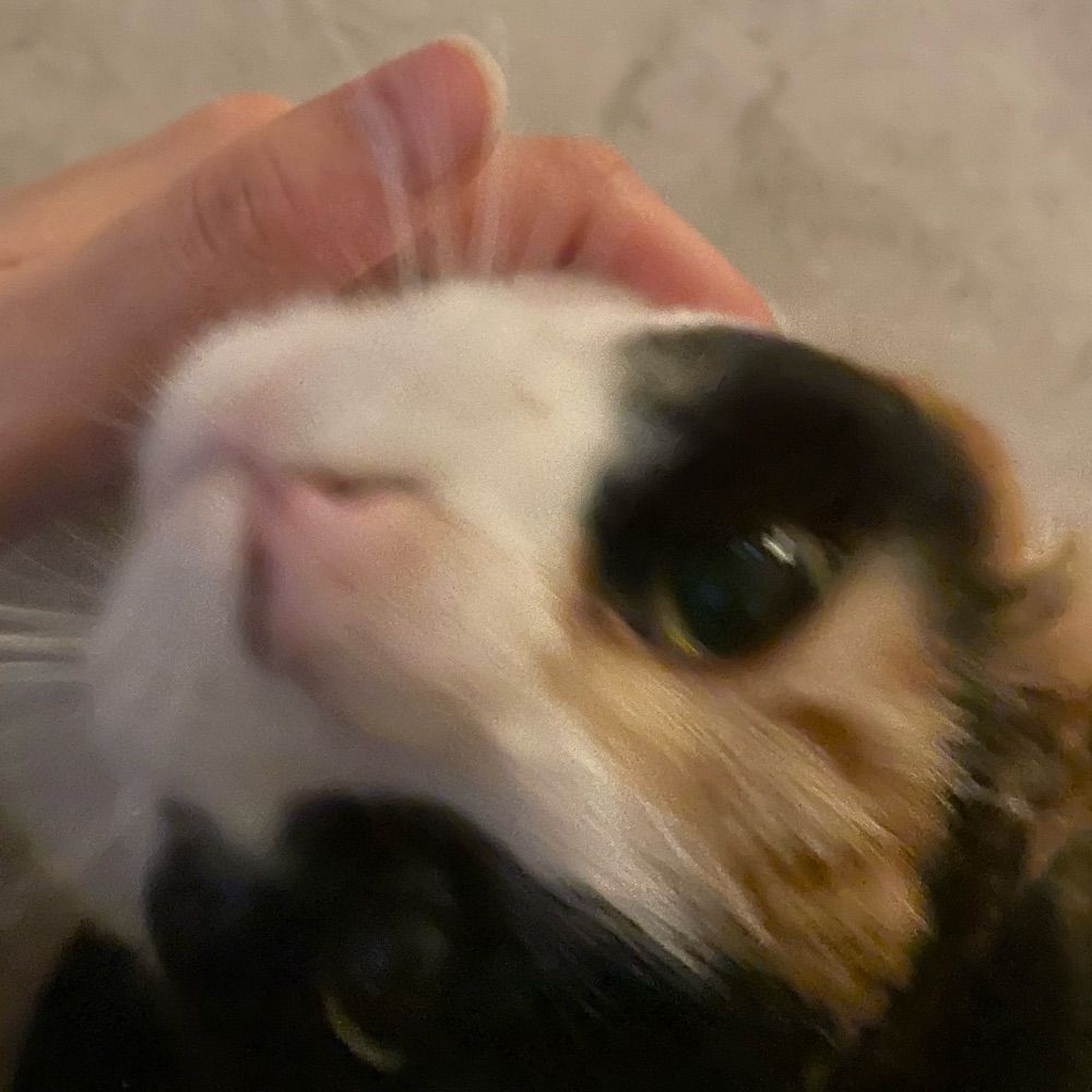 Elift