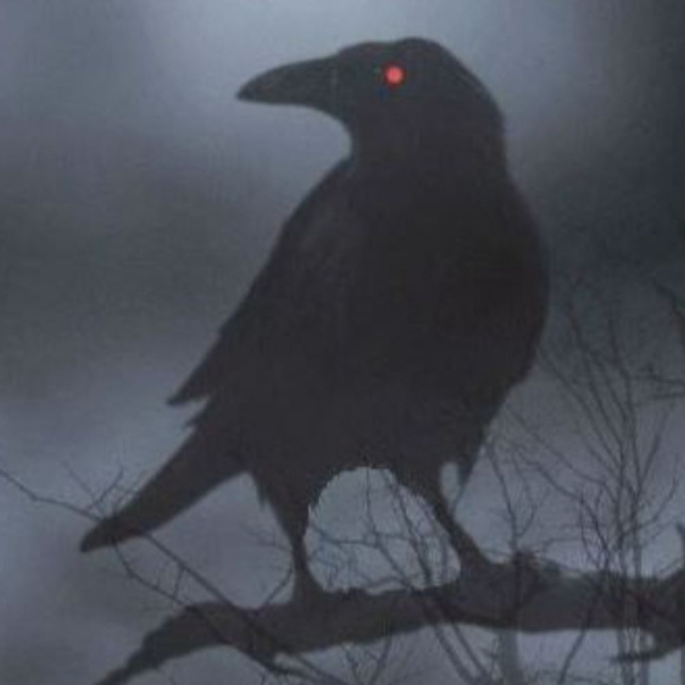 fromthegallows.bsky.social