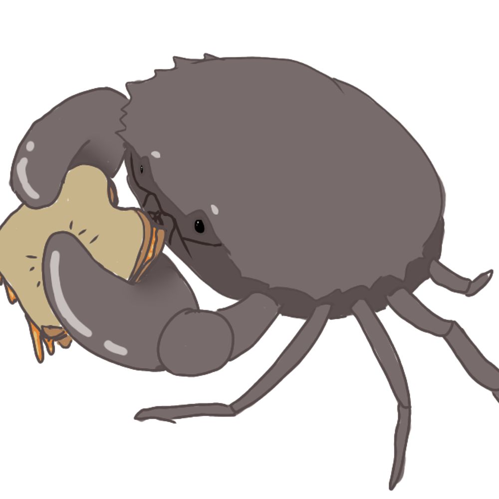 hp_mudcrab