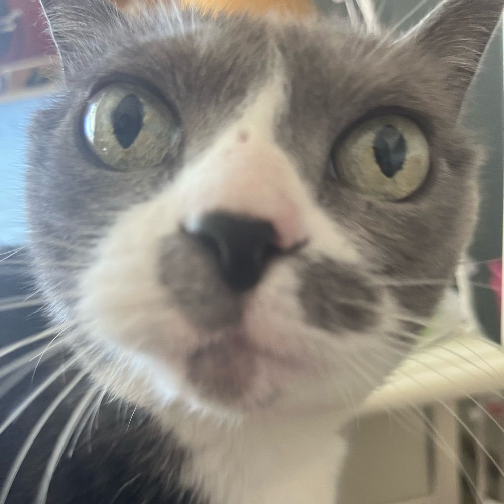 babey jeff