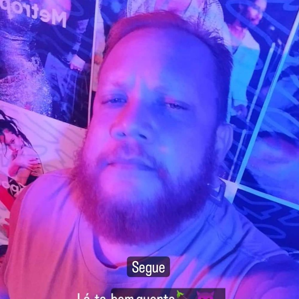 Bear Safado