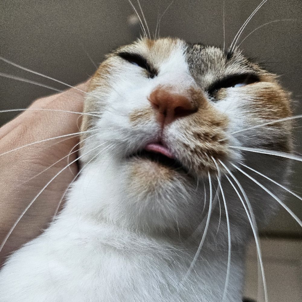 무기