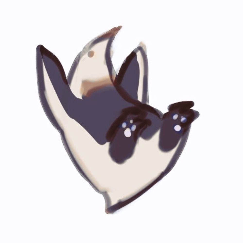 アルネヴᗦ↞◃