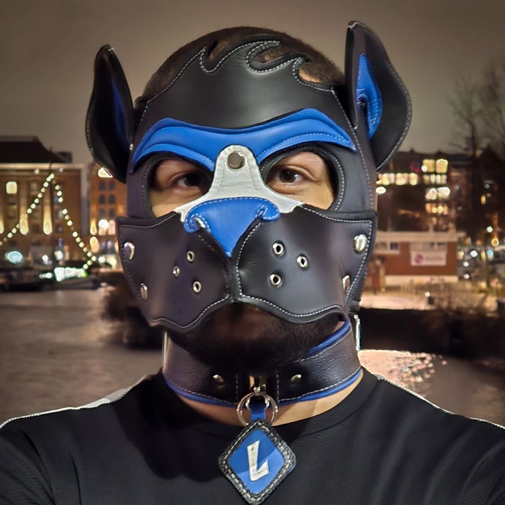 Lewi (bluenose)