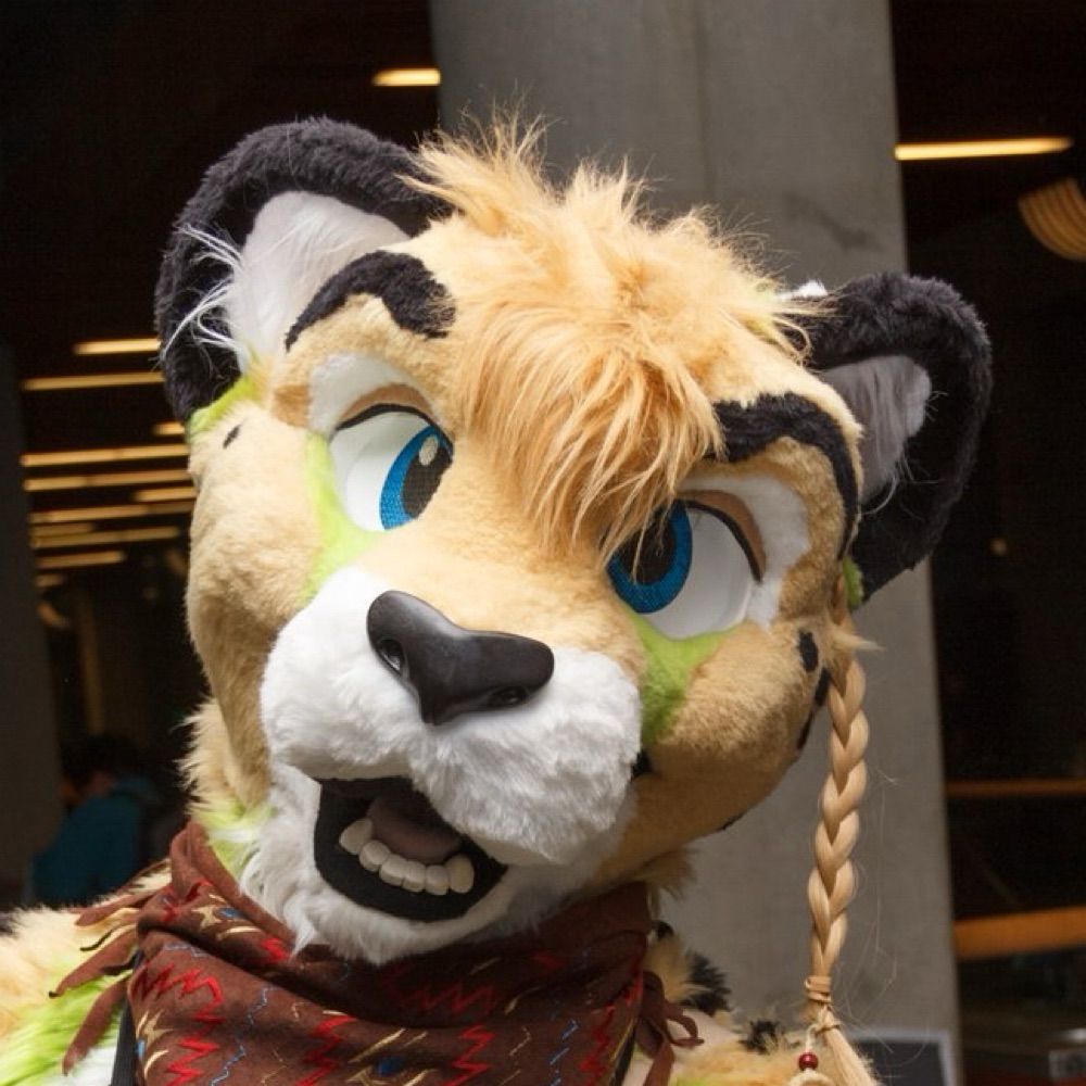 Sky Cheetah
