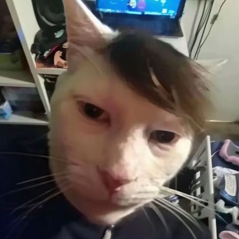 🧊