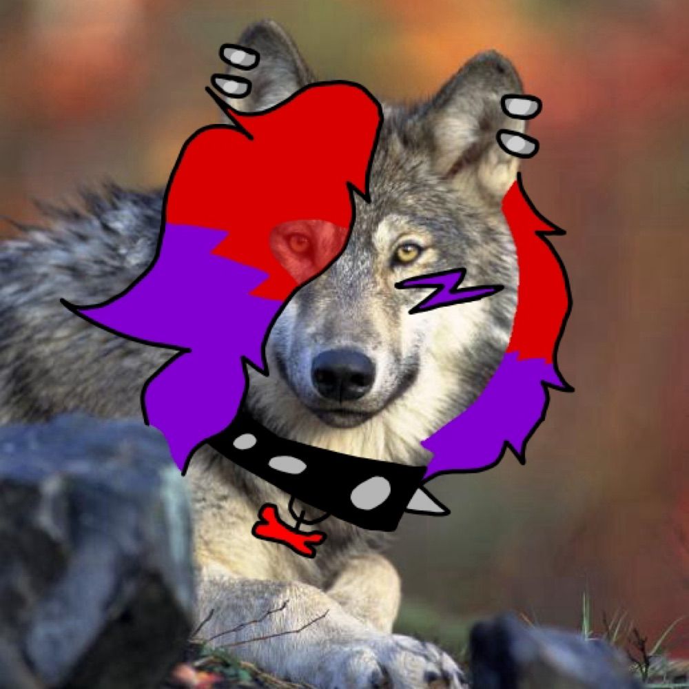 Roxxy :3