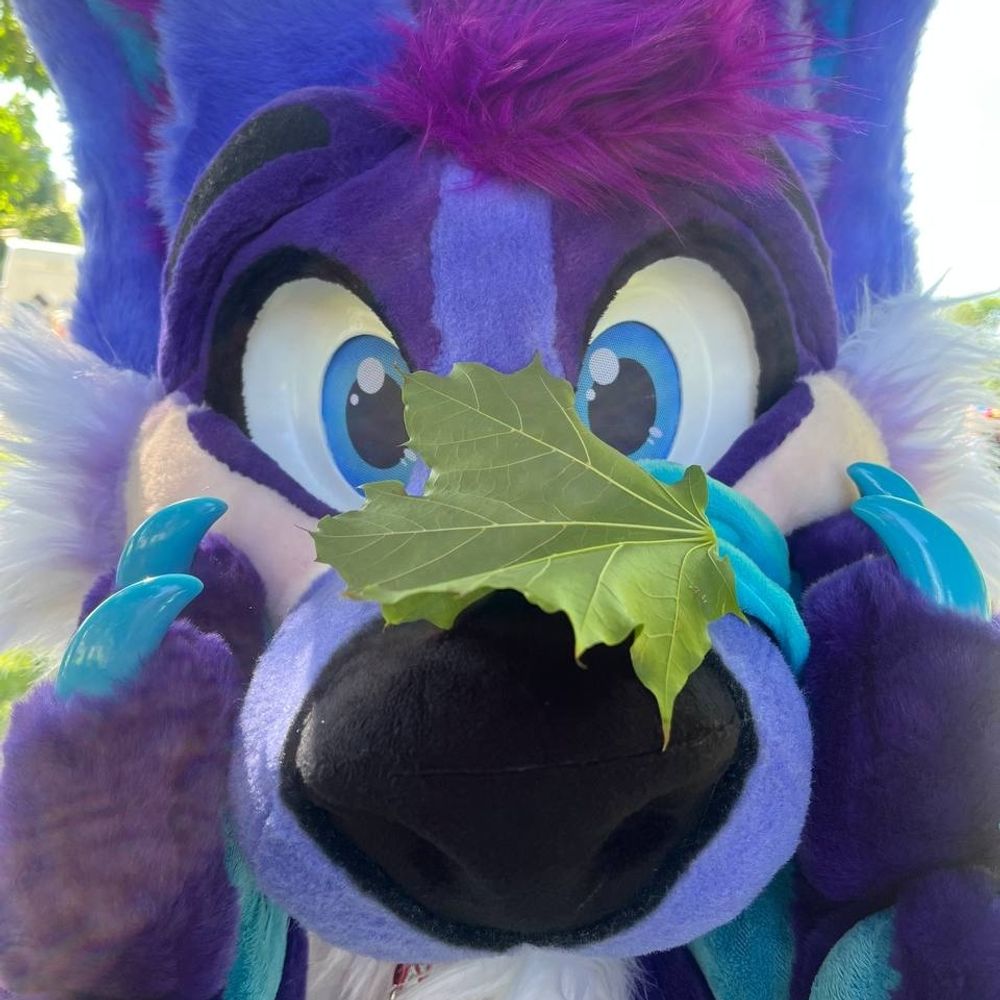 Haze The Hyena