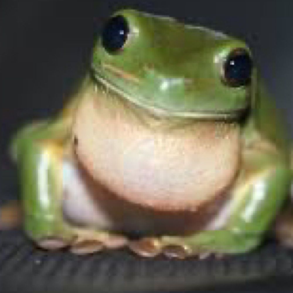 I really like frogs (he/him)