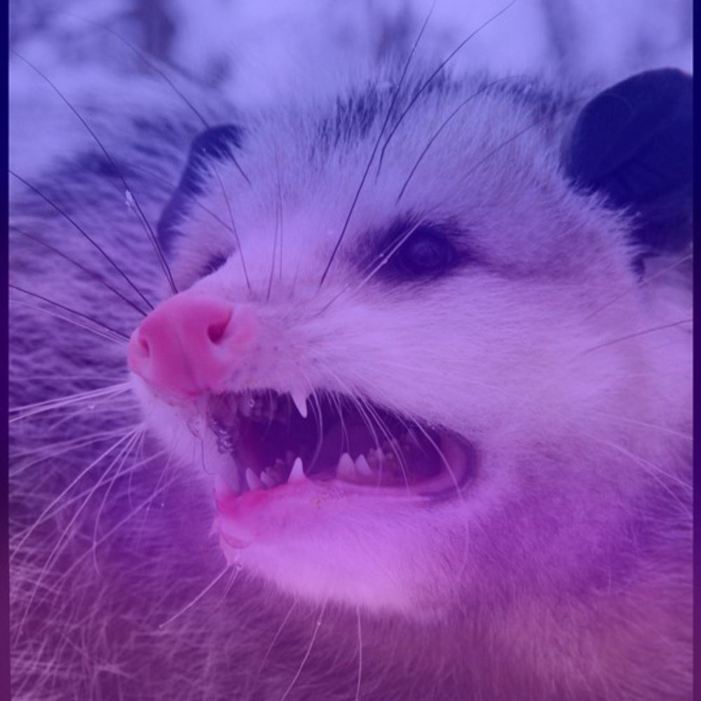Feral Possum (she/her)