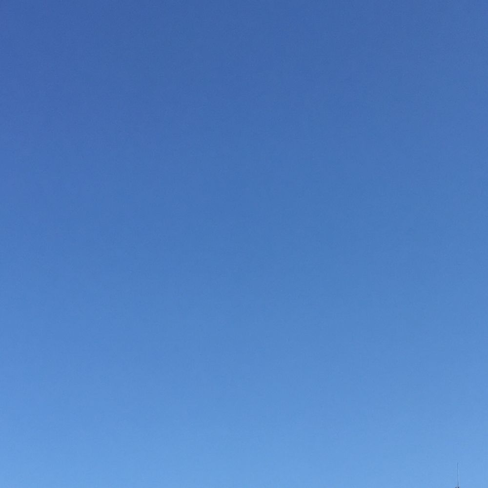 鱧