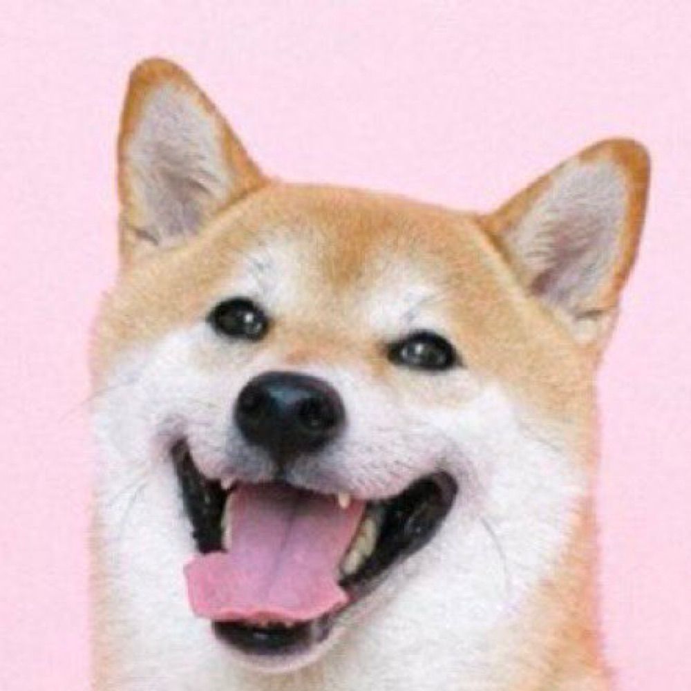 PIP
