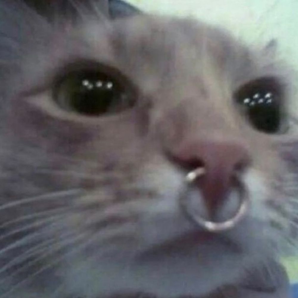 yas