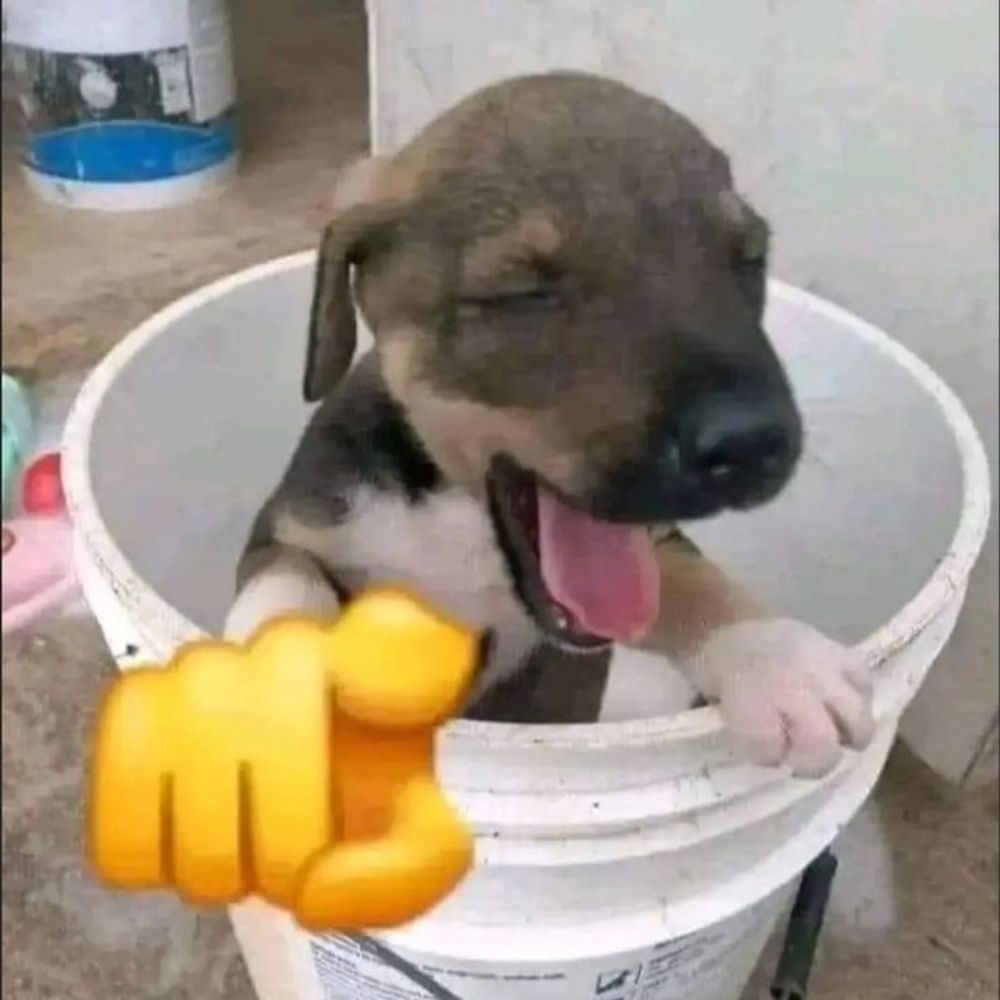 froessbr.bsky.social