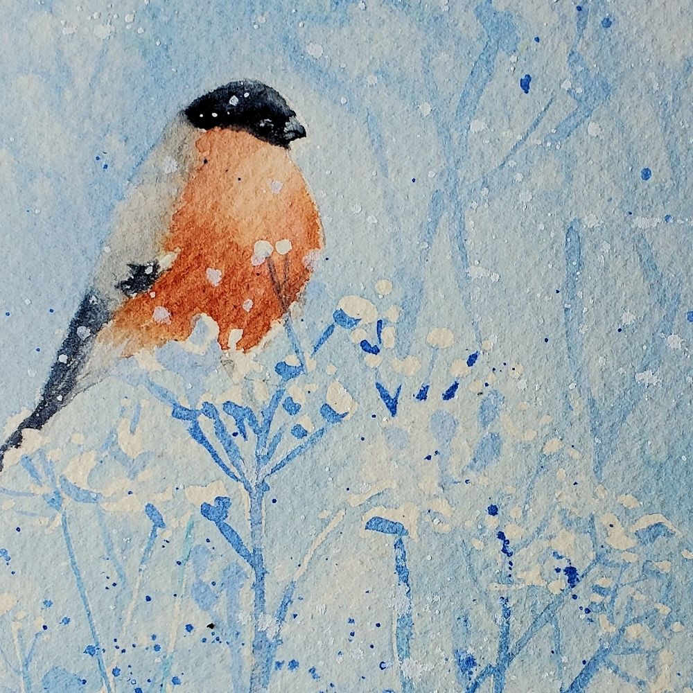 Dawn Minto