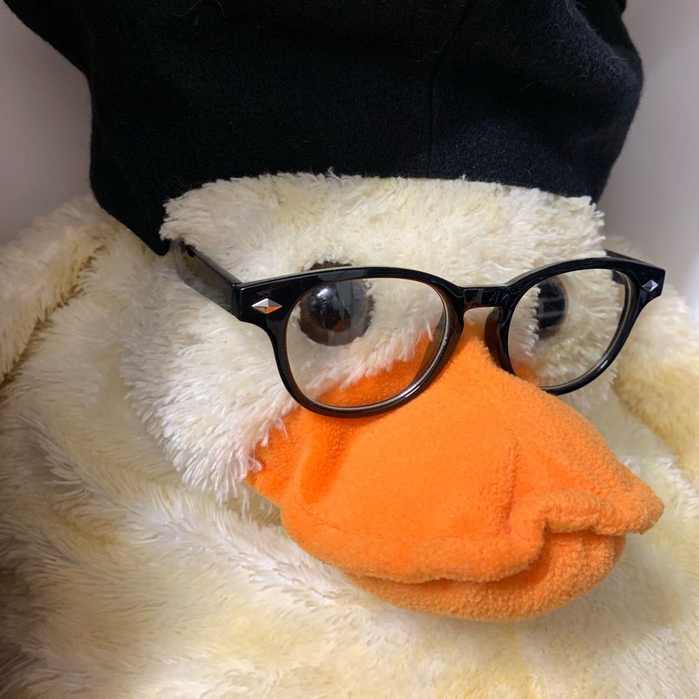 Profile picture educated-duck.bsky.social