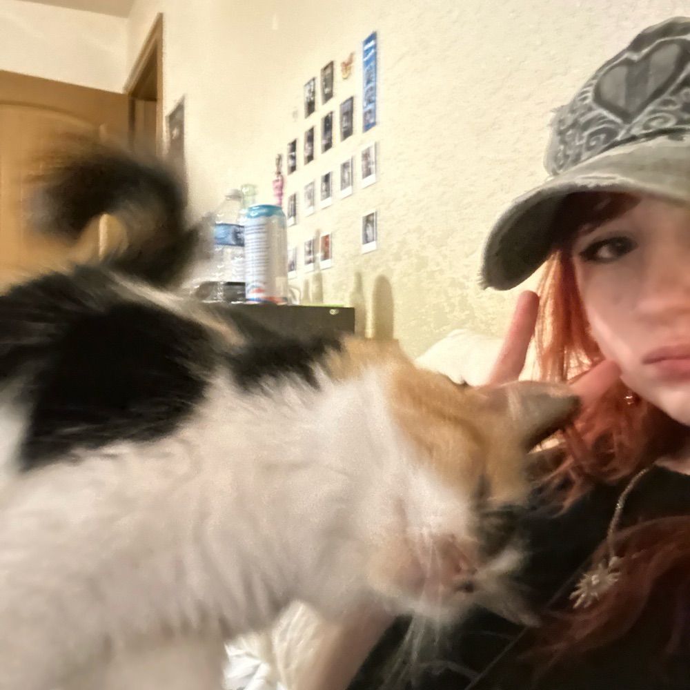 (⌒▽⌒)☆
