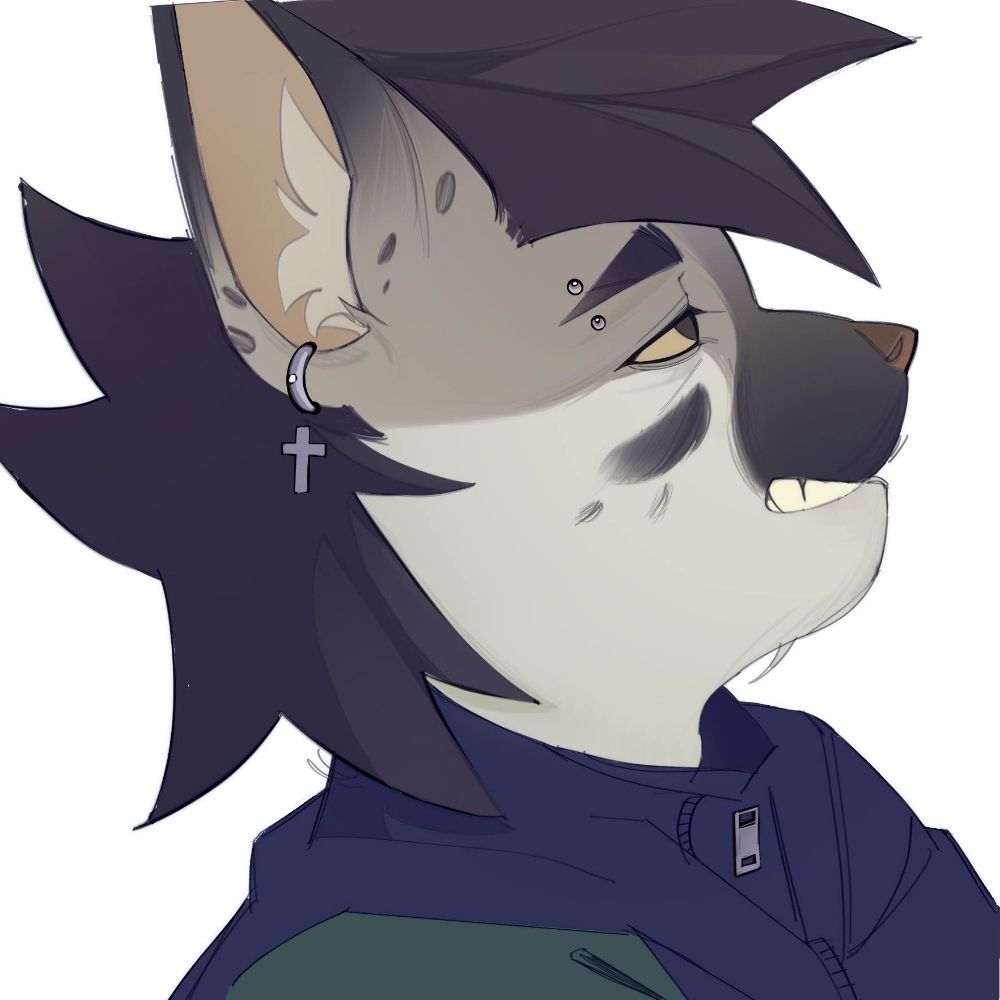 ✮ sami