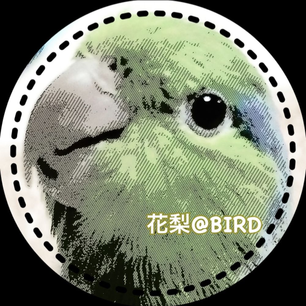 花梨＊BIRD