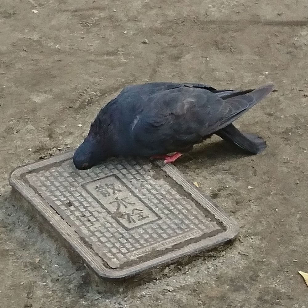 桐井 肇
