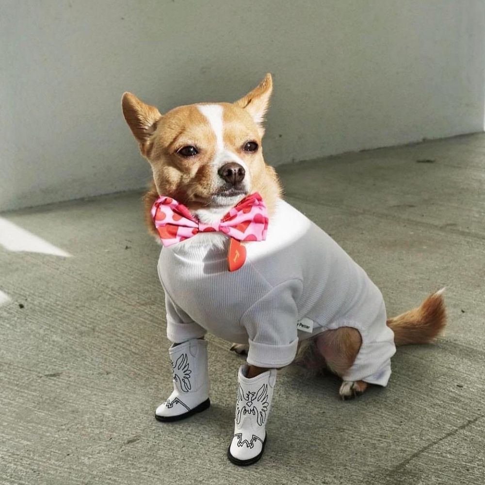 banh mi luvr 69