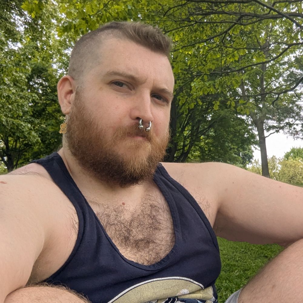 GayTeddiursa