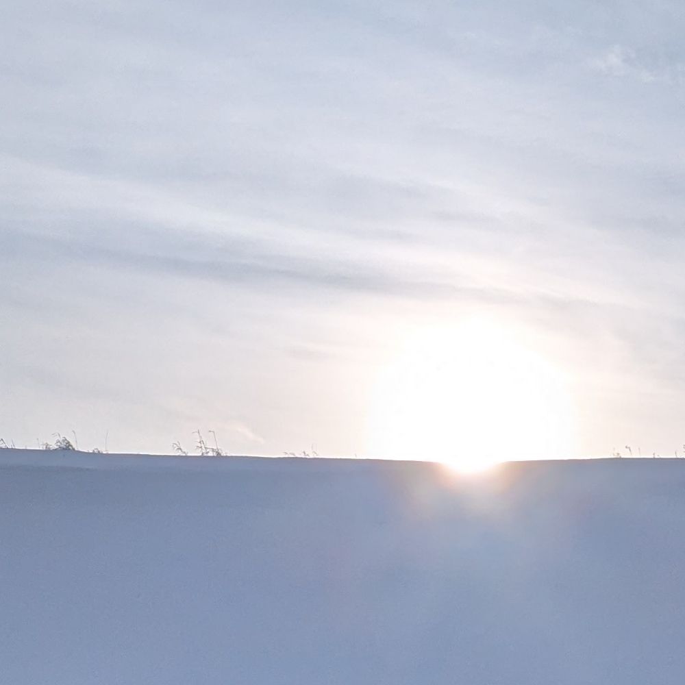 caraxxve.bsky.social