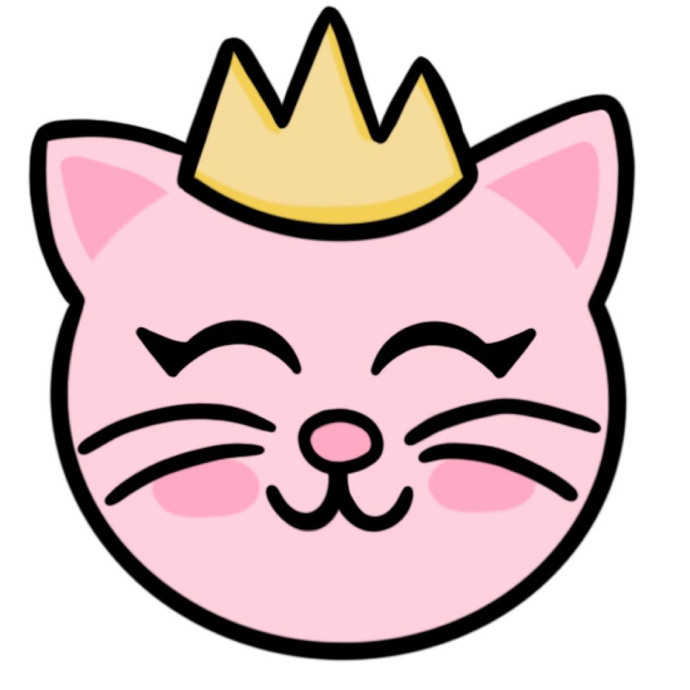 princess ✨